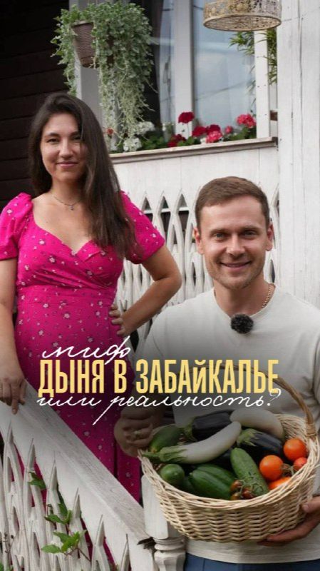 🍈 Дыня в Забайкалье — миф или реальность?