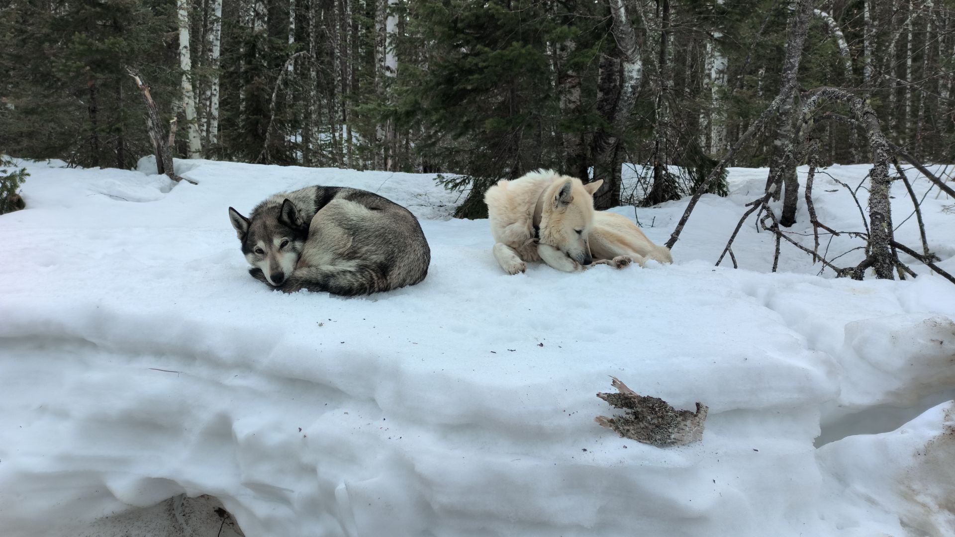 РАЗВЕДКА ОБСТАНОВКИ.