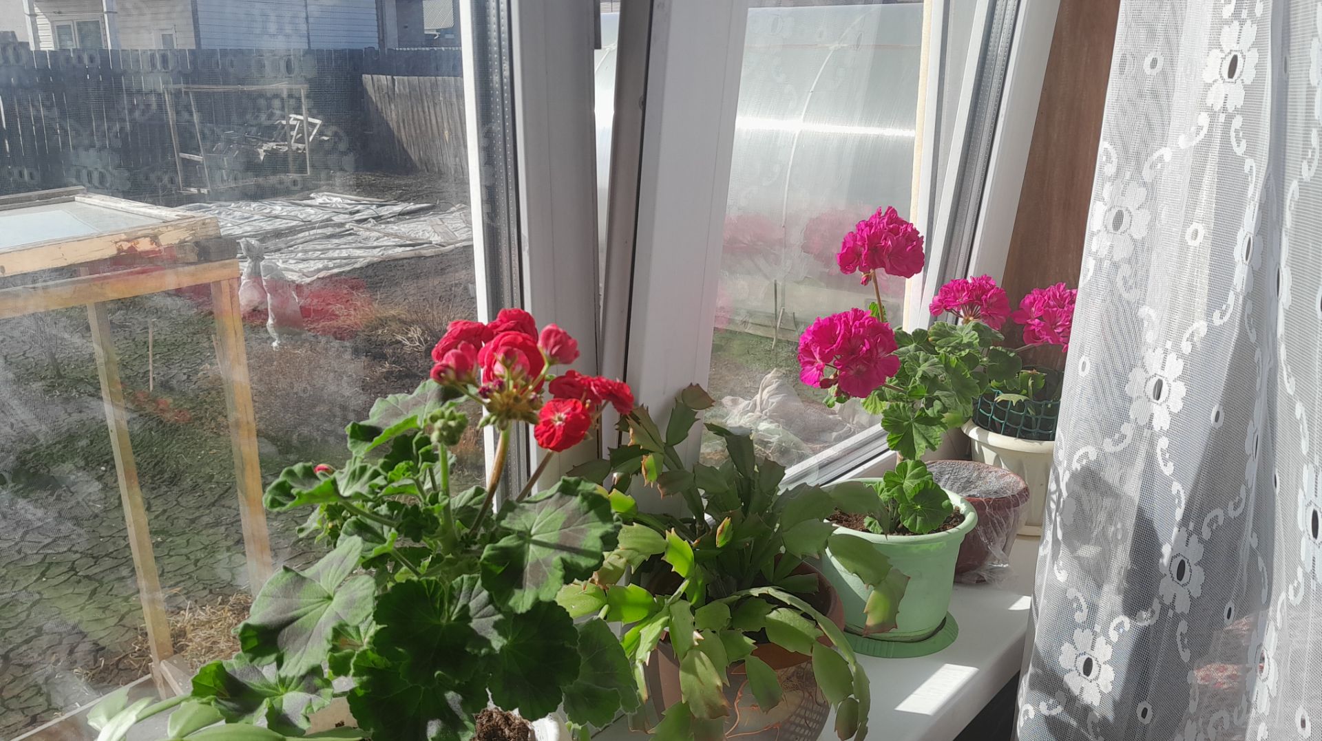 Мой Загородный дом в Сибири/Распаковка Приятные покупки 16.04.2026