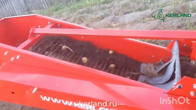 Картофелекопалка Kerland KT-1 в работе с трактором Dongfeng DF-244 G2