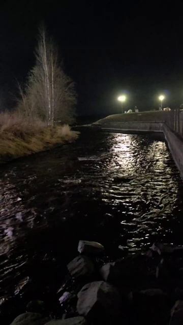 Вечерняя река Неглинка. Петрозаводск.