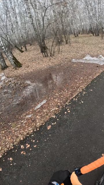 Не туда нас повёл, а потом ещё и в лужу провалился #велопоездка #велосипед #Тюмень