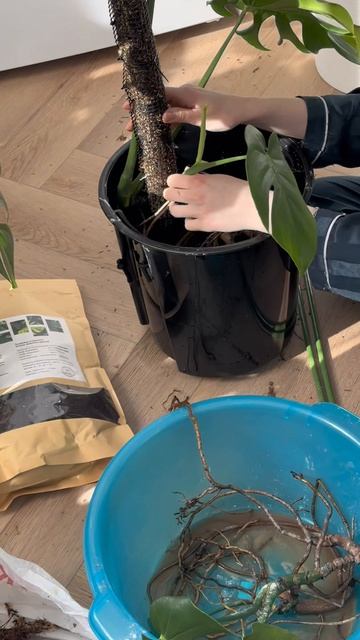 Copy_6EA32C4C-B173-4D84-83DF-689EA4670307 2