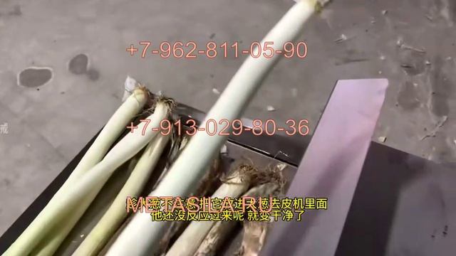 Станок для очистки зеленого лука W302