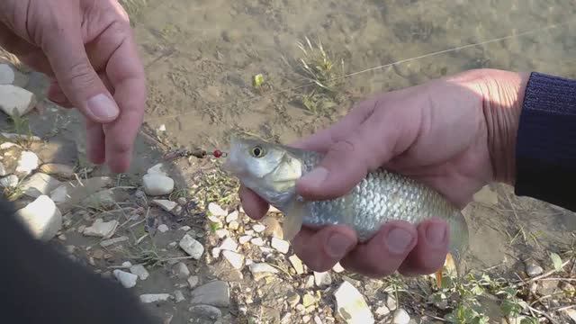 Китайский телескопический спиннинг. Часть 2. Параболик.