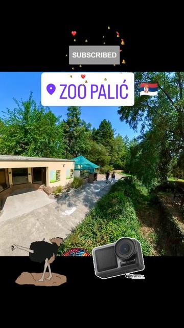 Zoo Palic - Zooloski Vrt Palic Subotica  #travellingvlog   #touristattraction #turistika