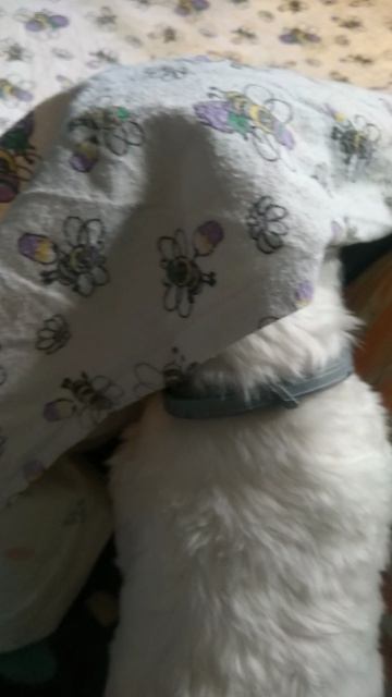 позвольте глянуть,хоть одним только глазком