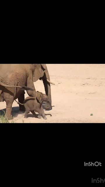 Интересно посмотреть 🙀🫣😏☺️🧐😉🌞🤫😺🥹😊🫣😏☺️🧐😉🌞🕵️✨🌟💫⚜️👑⚜️🕵️💫✨🌟☀️✨🌟💫🌞🔥🔥💯💥🔥💯💥