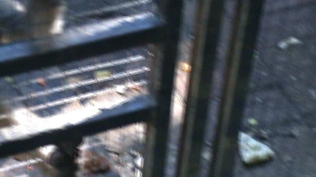 20)Б ПАРК ПОБЕДЫ ЗООПАРК