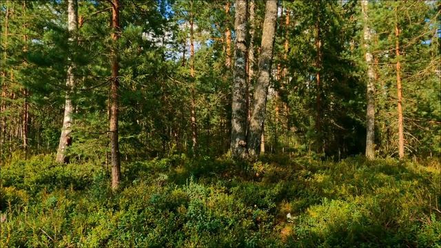Срочно сделайте это с водой 17 апреля. Обряд, смоет годы страданий.