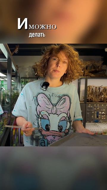 На каком расстоянии друг от друга высаживать растения? 🌱🌱 #аквариум #аквариумистика