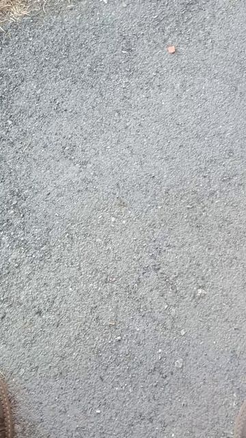 Бог творит твою жизнь через твои мысли