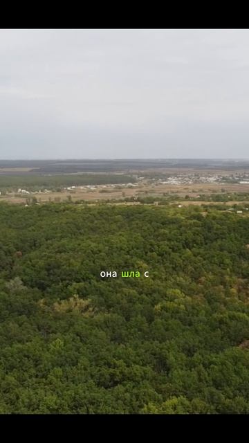 Аудио рассказ «Он подставил жену и посадил её в тюрьму… но её месть перевернула всё»