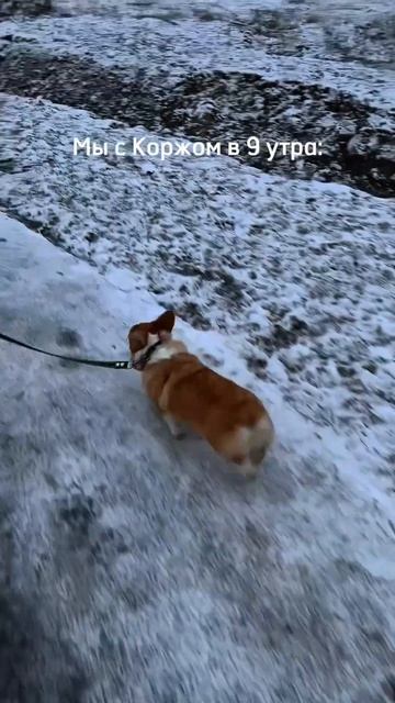 Проще уж не спать до утра