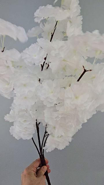 Сакура Весенняя БИГ три цвета