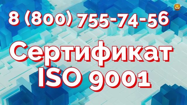 Сертификат качества Iso 9001