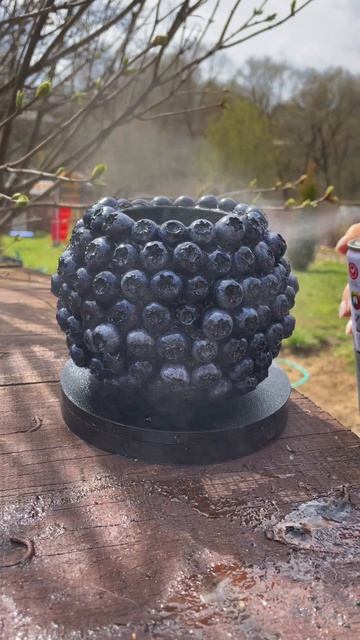 ASMR Video  ваза из гипса , голубика