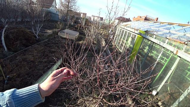 Весенний обход сада