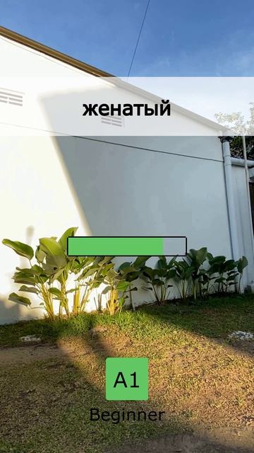 🛠️ Инструменты общения: 5 слов A1 (01 May 2026)