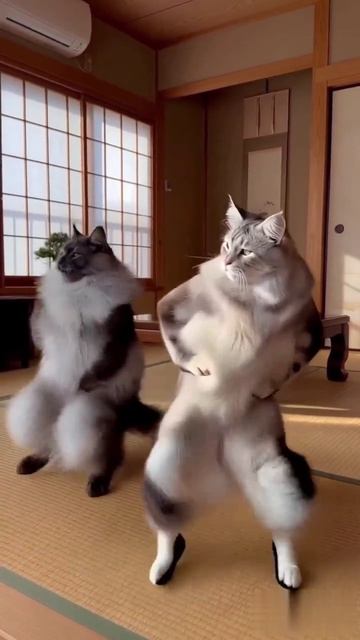 Кошачьи танцы
Узнайте, как зарабатывать на таких роликах по кнопке в видео
#интернетзаработок #мульт