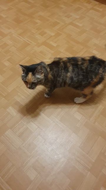 24 июля 2024 г.