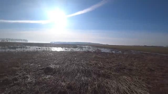 ОХОТА НА ГУСЯ, МАЗИЛЫ В ДЕЛЕ