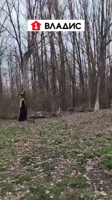 Прекрасные виды около дома на ул. Киселёвка