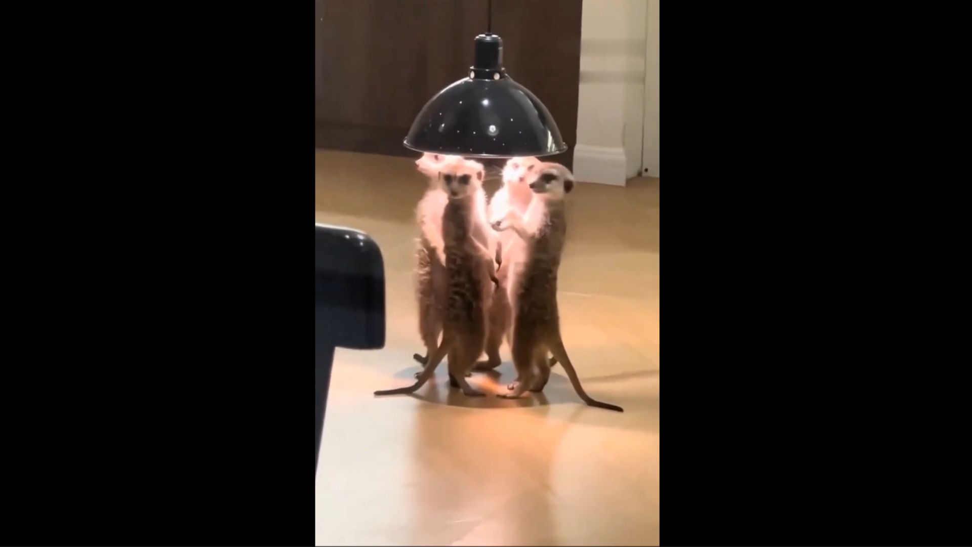 5ebd0103554dbc4334b8e9e08224474a