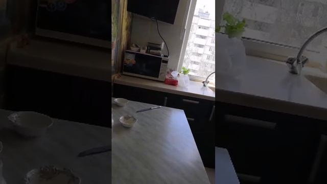 Показания моего дома