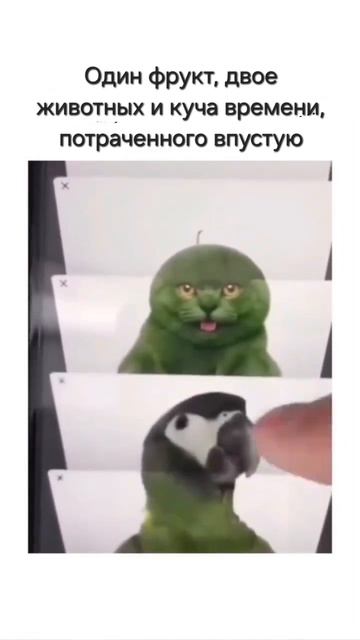 Мемы на канале