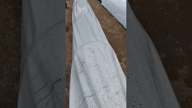 Строительство теплых грядок.mp4