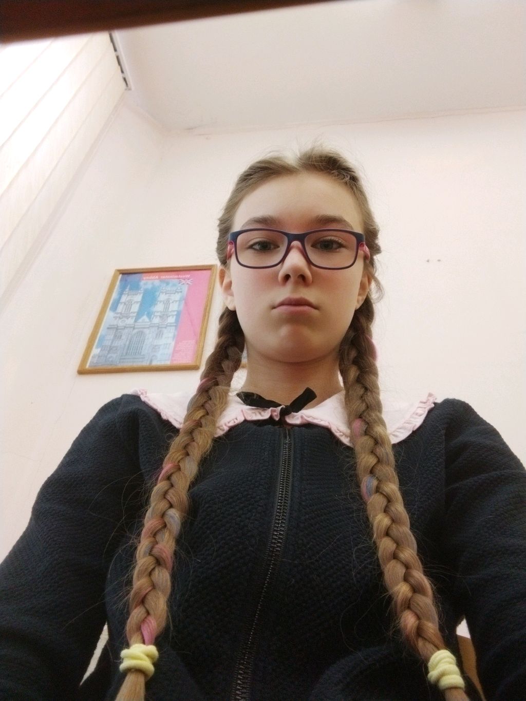 смотрю смешные видео про котов