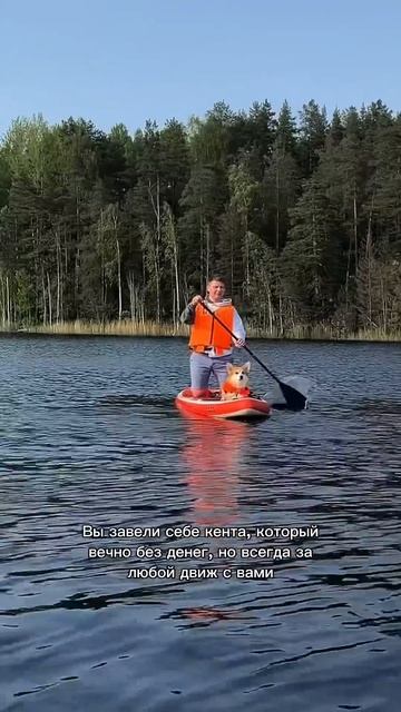 Подписка = ежедневная доза корги #корги #смешныеживотные #corgi #шортс #dogsoftiktok #shorts