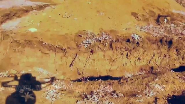 Очередные пехотинцы ВСУ-200, работа дроноводов 38-й гвардейской бригады 35-й армии группировки…🔽