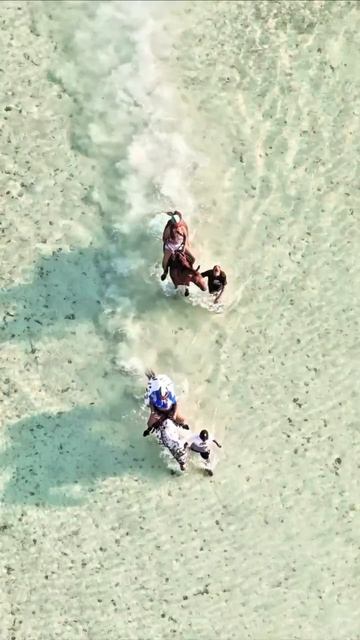 Что остается в конце?  #занзибар #путешествияафрика #недвижимость #travel