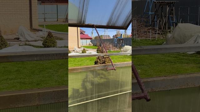 17 апреля #теплица #дача #садоводничество #огород #уходзатеплицей