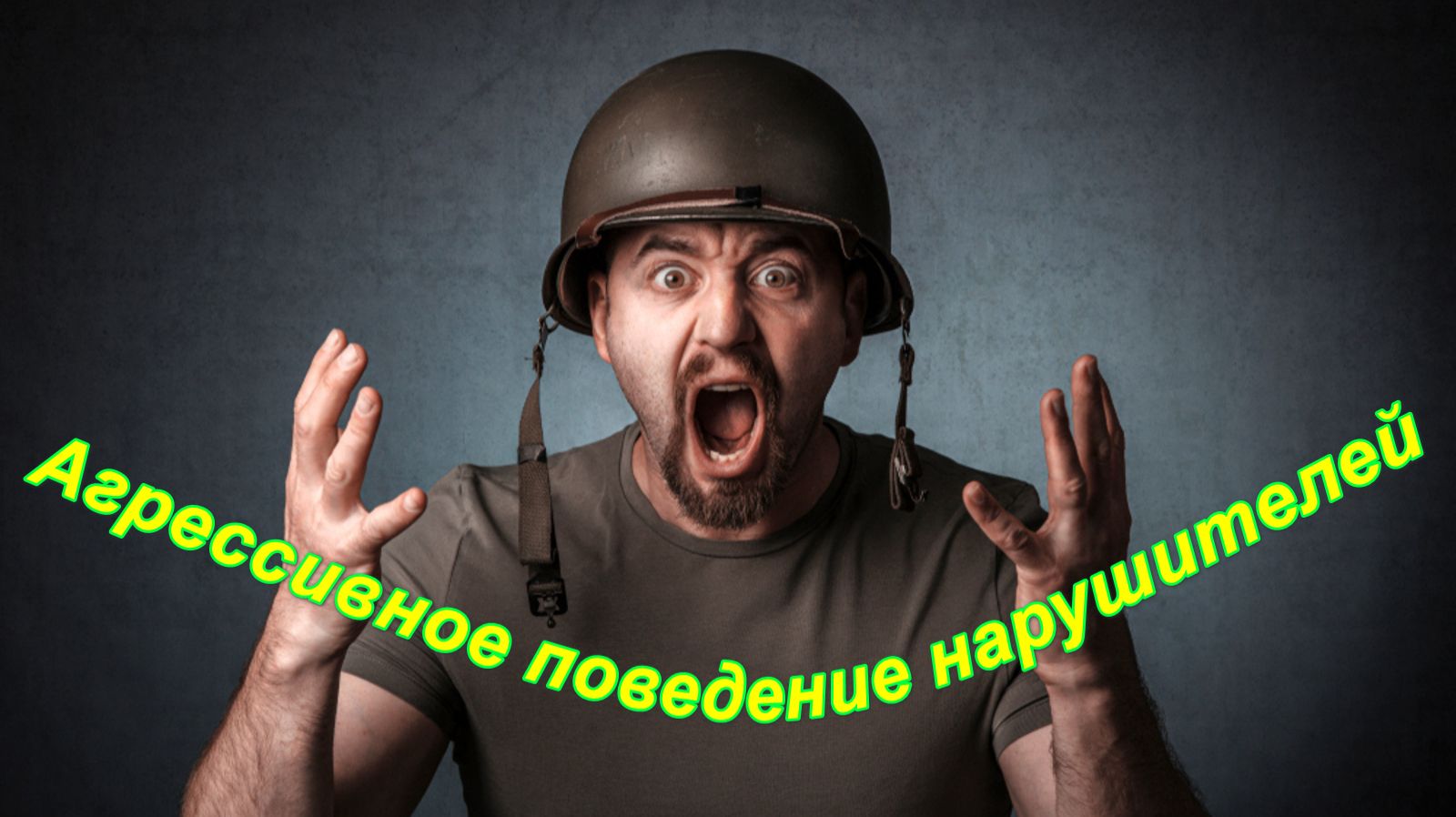 Агрессивное поведение нарушителей