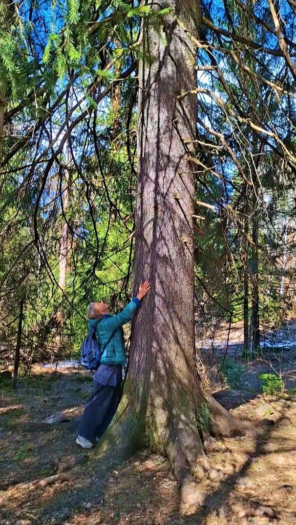 💖 Путешествие по легендарной Семибратке