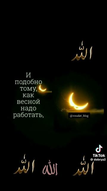 7cfdfe2c423923ddb4b499153db5d99f.mp4