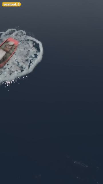 Морские Котики Мы пережили акулу 🦈