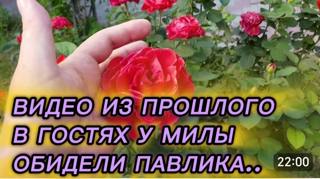 САМВЕЛ АДАМЯН, ПО ПРОСЬБАМ ЗРИТЕЛЕЙ, В ГОСТЯХ У МИЛЫ, ОБИДЕЛИ ПАВЛИКА..