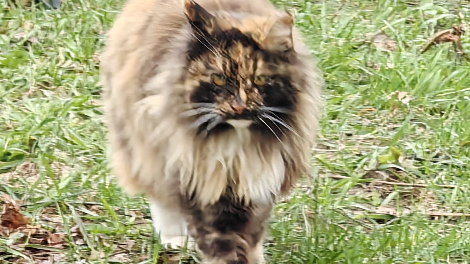 Обстановка на Вялковском пруду.17-04-2026.