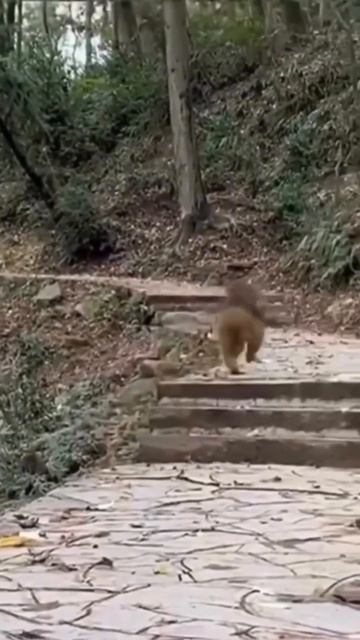 ОФТАЛЬМОЛОГИЯ ВЗРОСЛАЯ И ДЕТСКАЯ: ст. м. Маяковская, ул. 3-я Тверская-Ямская, 12с1.  #zakazlinz