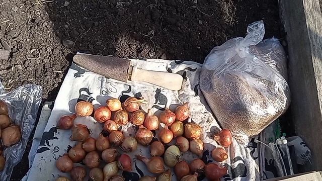 Стройматериалы привезли, посадила лук, кориандр, петрушку, редис, посеяла горчицу,подготовка грядок