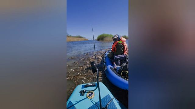 рыбалка в Астрахани 2026г полное видео первого дня на старой волге #рыбалкаастарахань