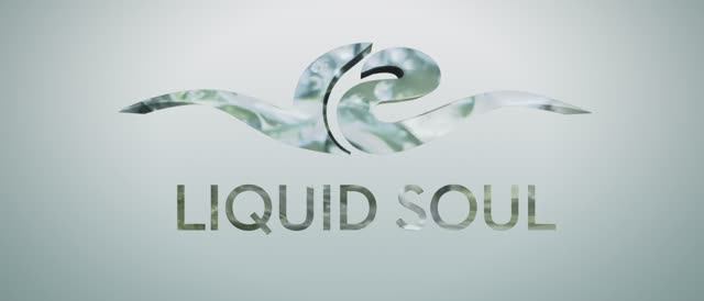 Liquid Soul @ Ozora 2017 (Psychedelic Progressive Trance DJ Mix)