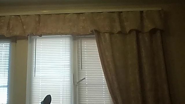 Просто танцую 2