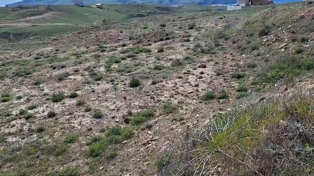 Земельный участок на Лаванде