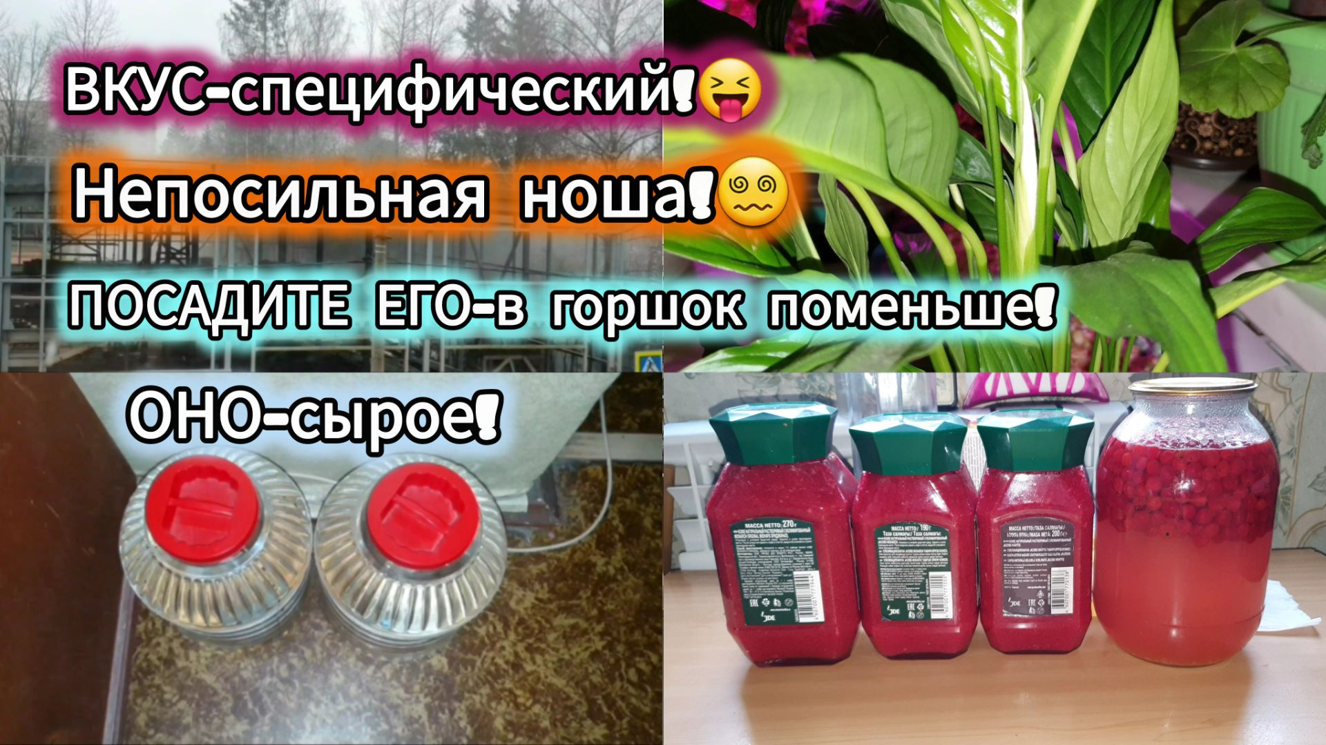 5.11.2024 МУЖИКИ - ЭТО ваша приправа!☘️ ПОЖАР на стройке!😱