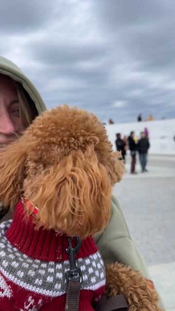 Чопа умеет петь